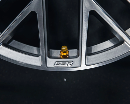 ESR - ESR PERFORMANCE VALVE STEMS (ESRPVS)