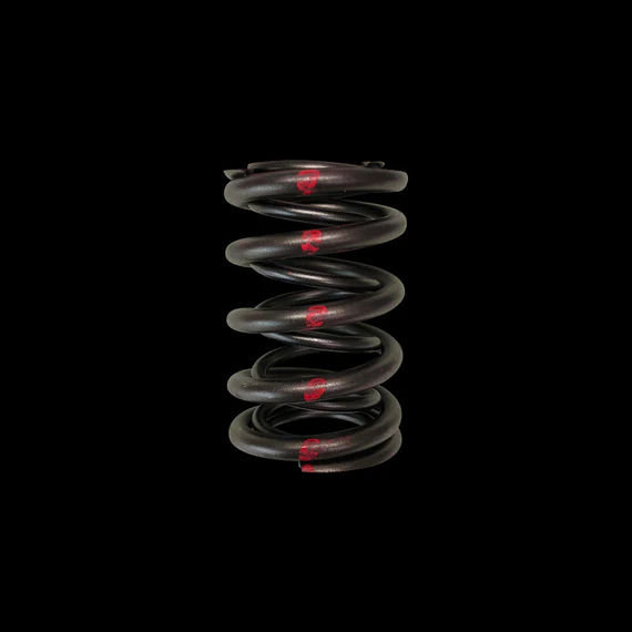 Brian Crower Honda H22/Nissan SR20VE Dual Valve Springs