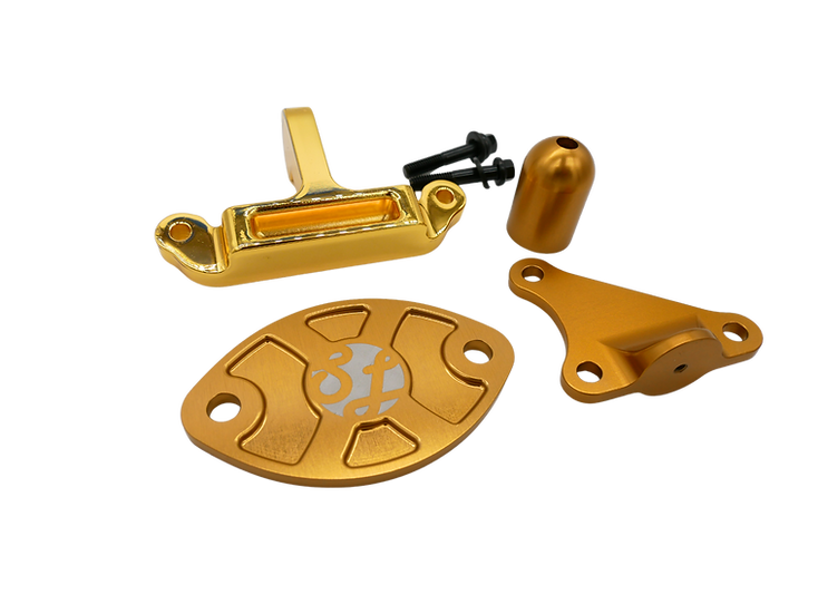 SLG - N52 Valvetronic Delete Kit