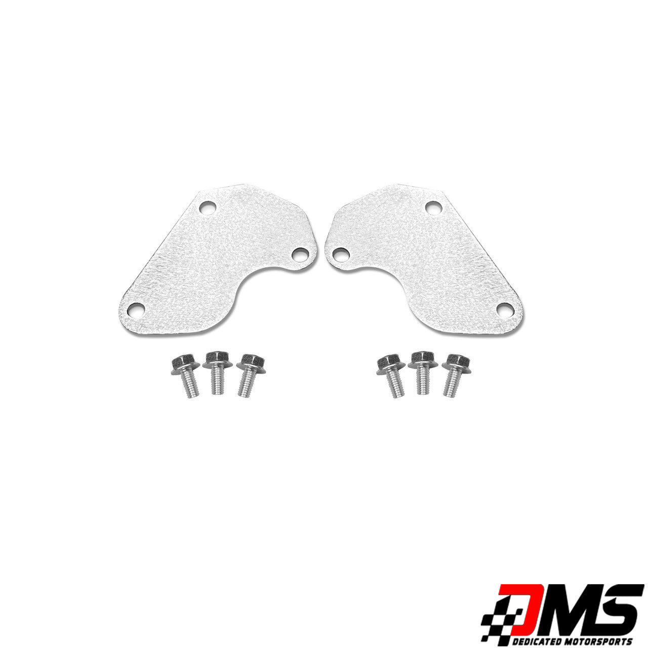 Dedicated Motorsports - LS water pump block off plates (pair)