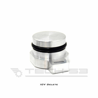 TECH 53 - BMW E46 M54 to M50 Intake Manifold Adapter Kit