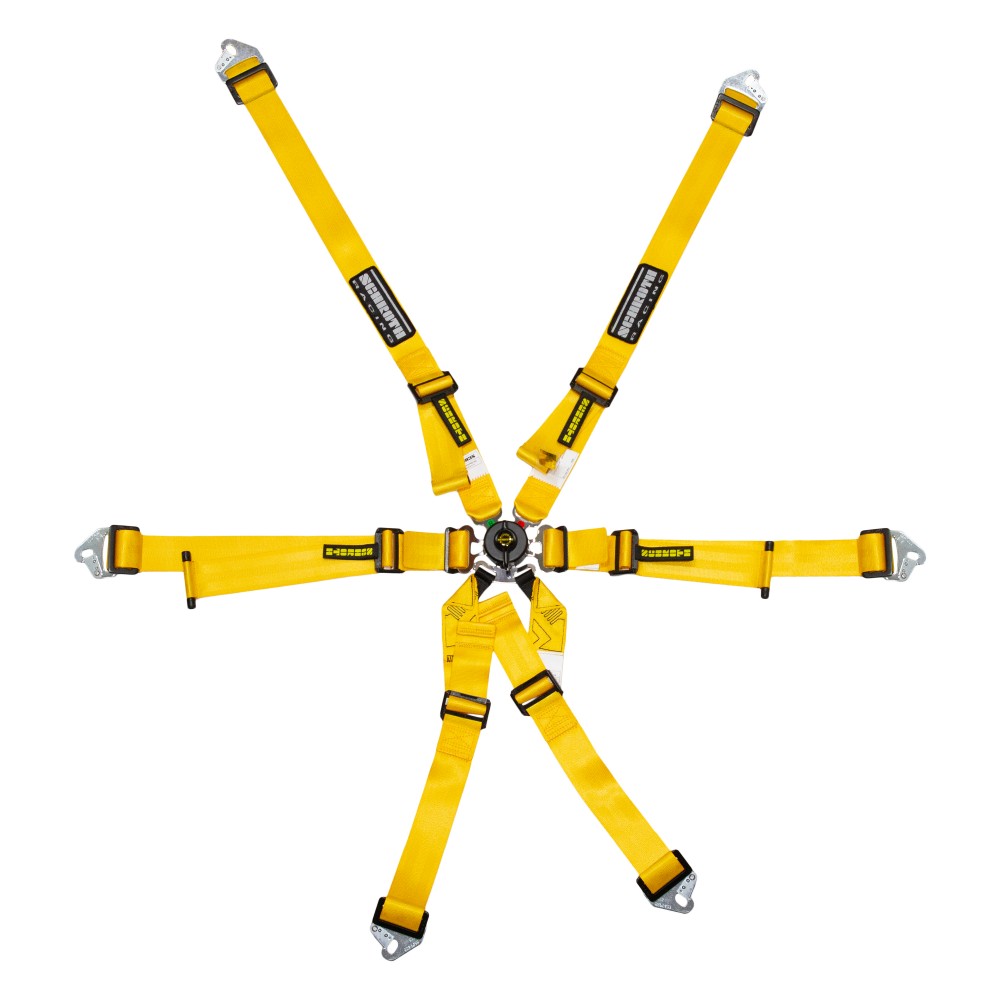 Schroth - Flexi 2x2 6-Point Racing Harness