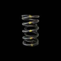 Brian Crower Toyota 2JZGTE Dual Valve Springs