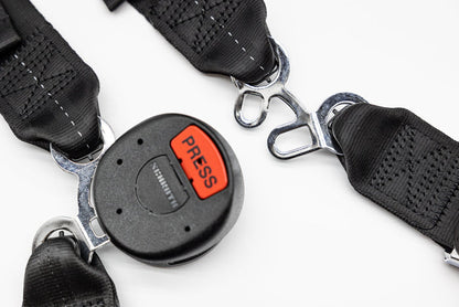 RTR - QUICKFIT PRO DRIVER HARNESS (05-17 MUSTANG)