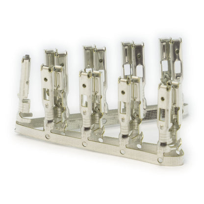 LINK ECU - Housing & Terminals (TK G1 LEM)