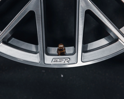 ESR - ESR PERFORMANCE VALVE STEMS (ESRPVS)