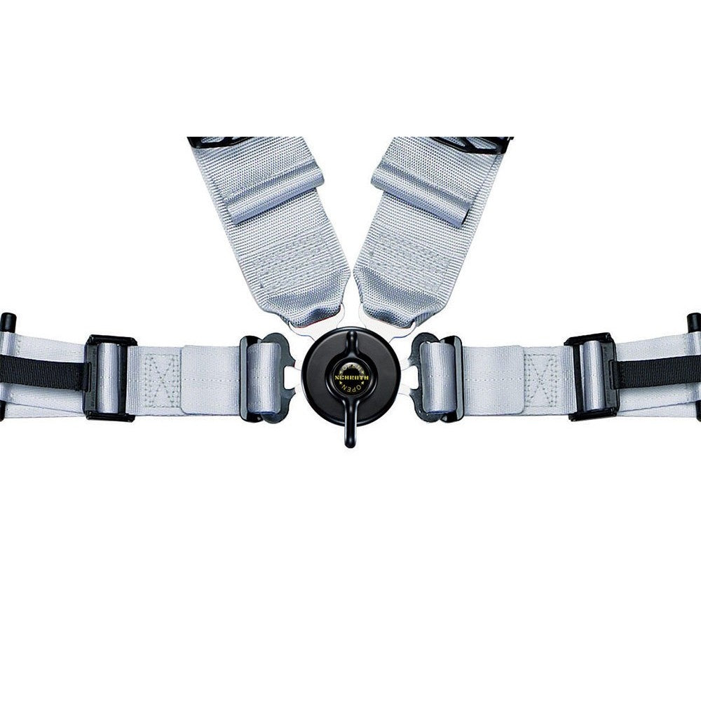 Schroth - Profi II ASM 4-Point Harness