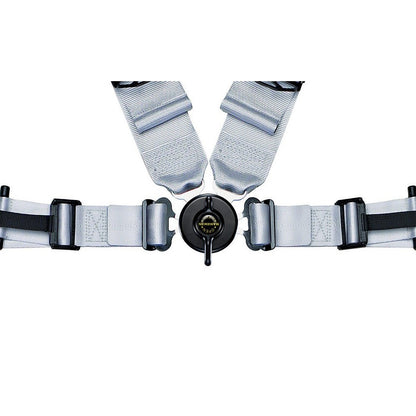 Schroth - Profi II ASM 4-Point Harness