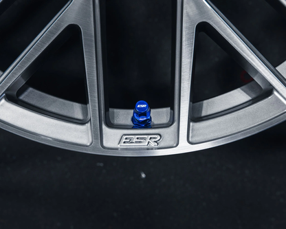 ESR - ESR PERFORMANCE VALVE STEMS (ESRPVS)