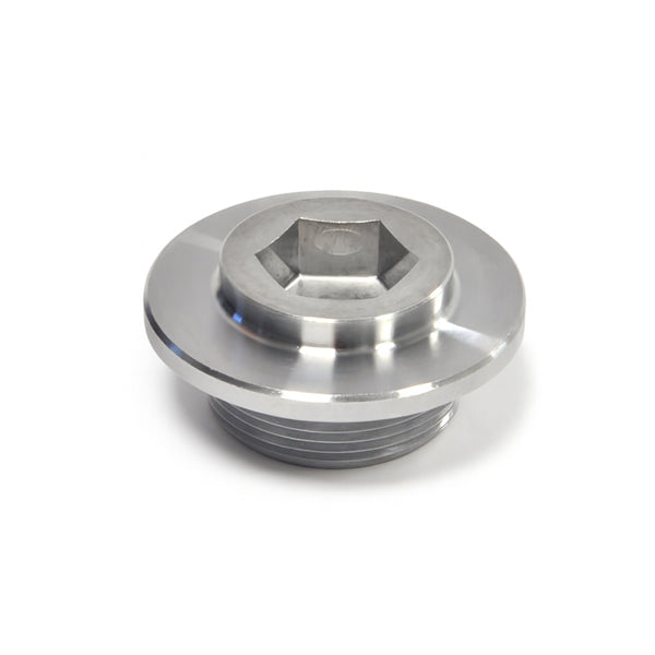 PHR - OEM Plug (Cap) For VVT-i Cam Gear