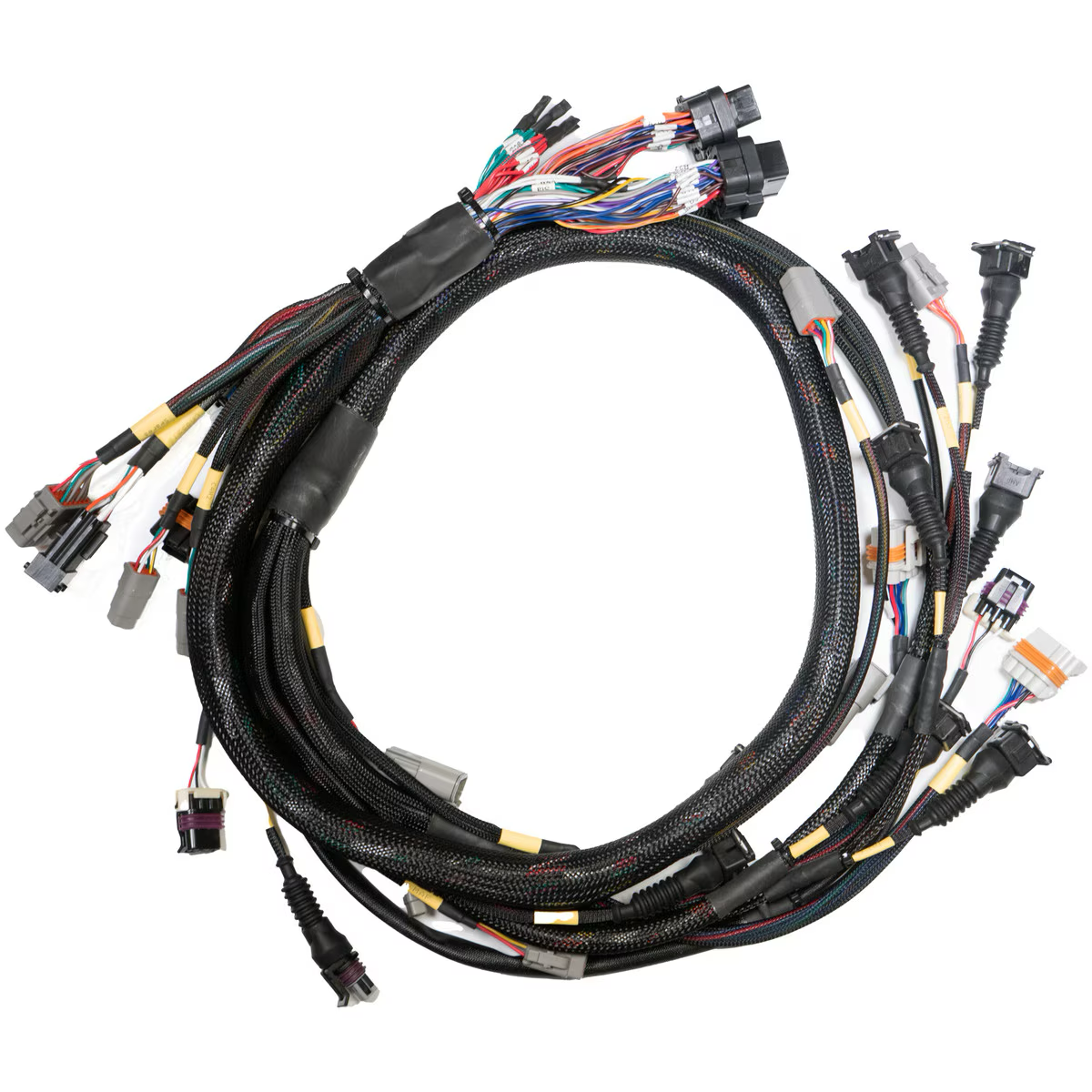 LINK ECU - Replacement Base Harness GM LS GEN3/4