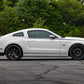 RTR - RTR TACTICAL PERFORMANCE COILOVERS (05-14 MUSTANG)