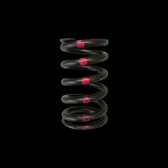 Brian Crower Nissan SR20DE Single Valve Springs (Set of 16)