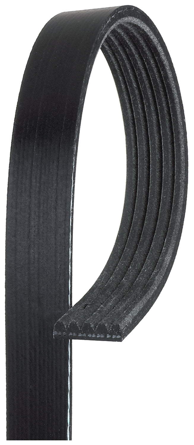 Gates 96-99 BMW M3 / 96-99 BMW 328i Micro-V Belt