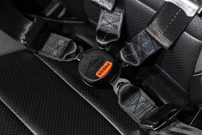 RTR - QUICKFIT PASSENGER HARNESS (18-24 MUSTANG)