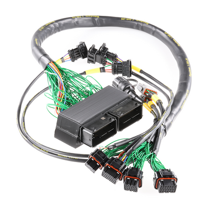 Boomslang - Plug-and-Play Harness Kit for MoTeC M130 | 2000-2003 Mitsubishi EVO VII Manual Transmission Type