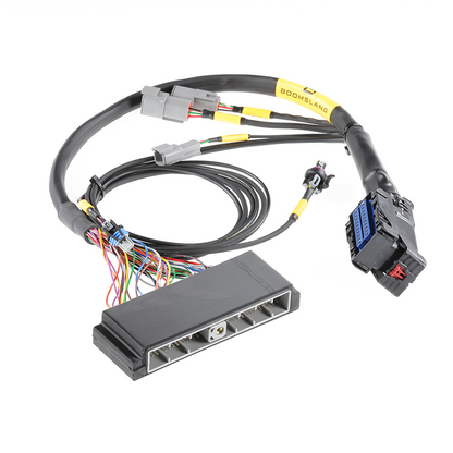 Boomslang - Plug-and-Play Harness Kit for AEM Infinity 506 | 2003-2005 Dodge SRT-4 Manual Transmission Type