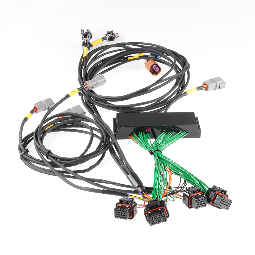 Boomslang - Plug-and-Play Harness Kit for Haltech Nexus R5 | 1999-2003 Nissan Skyline RB26DETT Manual Transmission Type