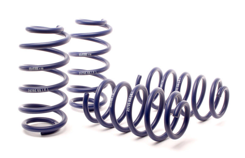 H&amp;R 01-05 Volkswagen Passat 4Motion Sedan/Wagon Sport Spring (não W8)