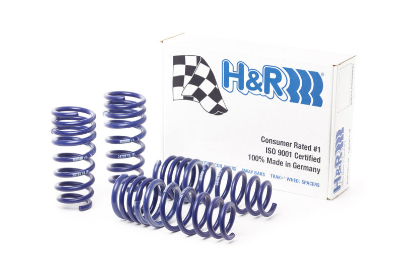 H&amp;R 15-21 Mercedes-Benz AMG GT S Coupe C190 Sport Spring (Incl. com AMG Ride Control)