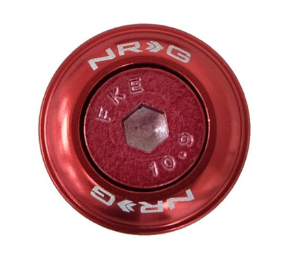 NRG - FENDER WASHER KIT; RIVETS FOR PLASTIC; COLOR MATCHED; SET OF 10