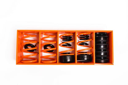 MSS 17-21 Tesla Model 3 Sports Kit completo ajustable
