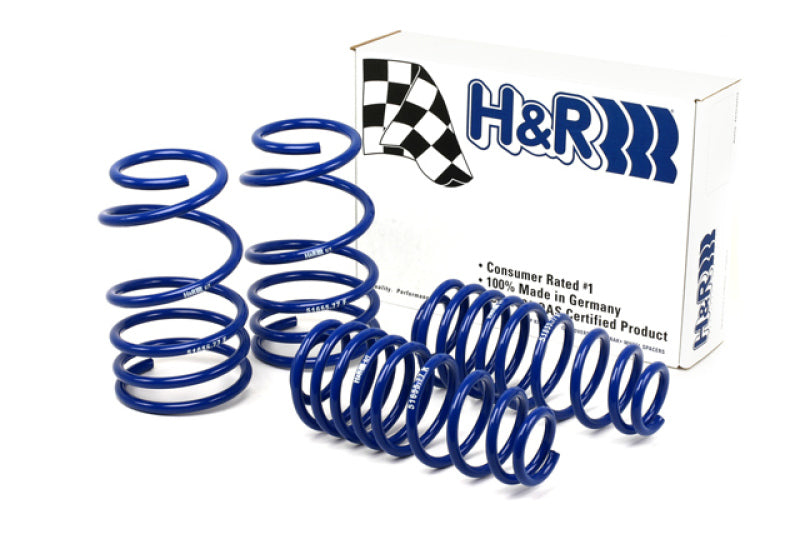 H&amp;R 05-09 Ford Mustang/Convertible/GT/Shelby GT/Shelby GT-H V6/V8 Super Sport Resorte
