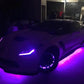 Oracle Universal LED Underbody Kit - ColorSHIFT
