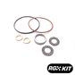 Race German -  BMW Single VANOS Rebuild Kit