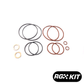 Race German -  BMW Dual VANOS Rebuild Kit