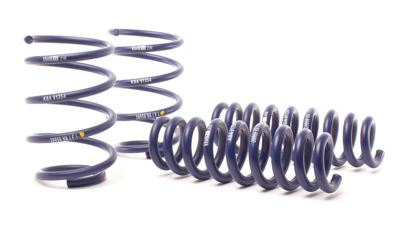 H&amp;R 13-15 BMW X1 sDrive28i E84 Sport Spring (somente 2WD)