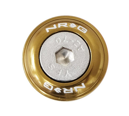 NRG - FENDER WASHER KIT; RIVETS FOR PLASTIC; SET OF 10