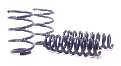 H&amp;R 13-15 BMW X1 sDrive28i E84 Sport Spring (somente 2WD)