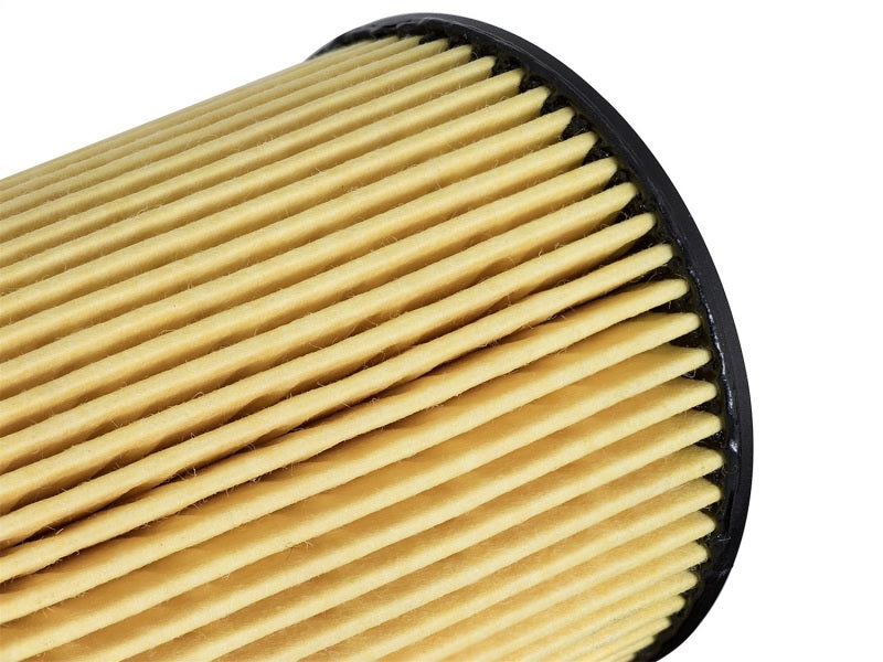 Filtro de óleo Pro GUARD HD RAM 1500 EcoDiesel 14-16 V6-3.0L (td)