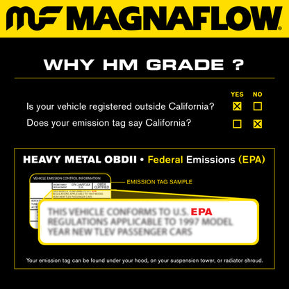 MagnaFlow Conv DF 00-01 Excursión con 5.4LA
