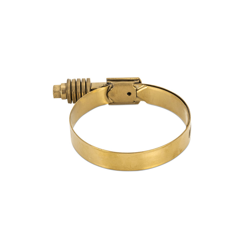 Abrazadera de engranaje helicoidal de tensión constante Mishimoto 3.27in.-4.13in. (83mm-105mm) - Oro