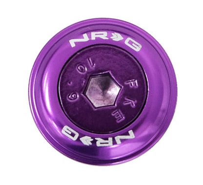 NRG - FENDER WASHER KIT; RIVETS FOR PLASTIC; COLOR MATCHED; SET OF 10