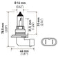 Hella 9006 12V 55W Halogen Bulb