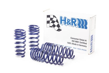 H&amp;R 15-21 Mercedes-Benz AMG GT S Coupe C190 Sport Spring (Incl. com AMG Ride Control)
