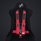 DND - Racing Harness (Comp Spec/5-Point)