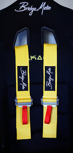 BridgeMoto - FIA Six Point Harness