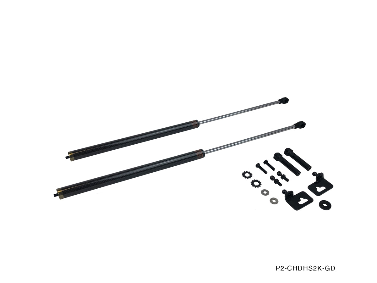 P2M - HONDA S2000 (AP1/AP2) AMORTECEDOR DO CAPOT DO MOTOR DE CARBONO (P2-CHDHS2K-TP)