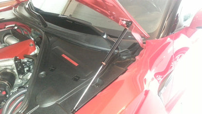 P2M - AMORTECEDOR DO CAPOT DO MOTOR DE CARBONO NISSAN R35 GTR (P2-CHDR35-TP)