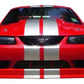 KBD - Ford Mustang 1999-2004 Cobra R Style 4 Piece Polyurethane Full Body Kit (37-2119)