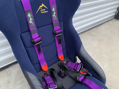 BridgeMoto - FIA 2” Formula Harness