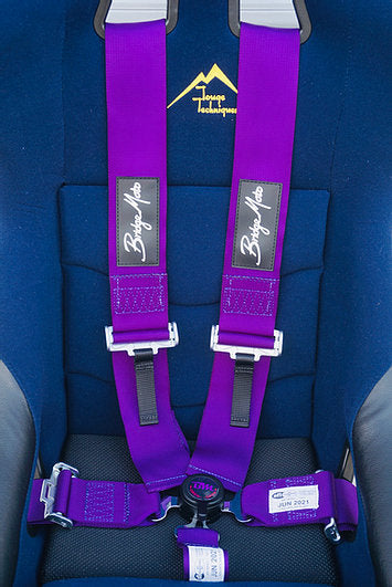BridgeMoto - FIA Four Point Harness