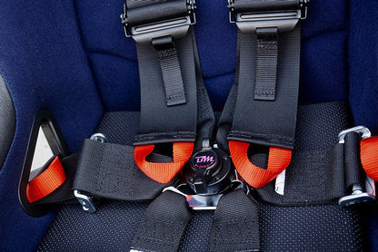 BridgeMoto - FIA Six Point Harness