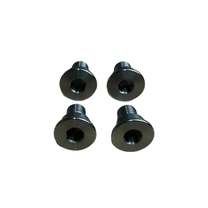 Race German -  BMW Stainless Steel Brake Rotor Set Screws